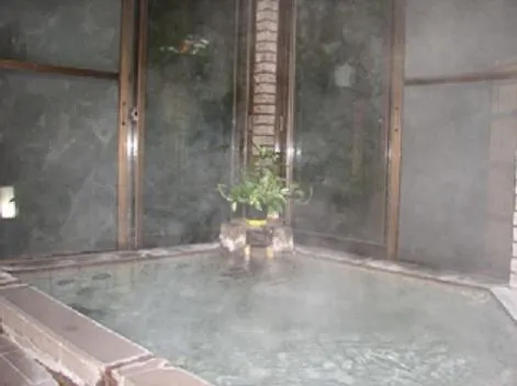 あじわいの心 金時山荘 Hotel Hakone 0*,